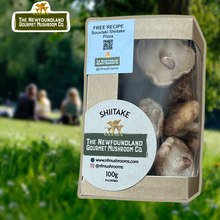Load image into Gallery viewer, Fresh Shiitake Mushrooms (100g)
