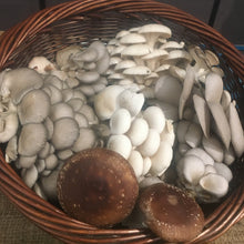 Load image into Gallery viewer, Mushroom Club Basket
