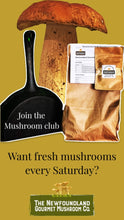 Load image into Gallery viewer, Mushroom Club Basket
