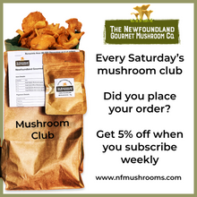 Load image into Gallery viewer, Mushroom Club Basket
