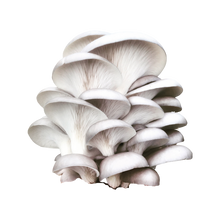 Load image into Gallery viewer, Fresh Oyster Mushrooms (100g)
